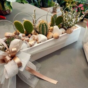 Composizione con piante grasse